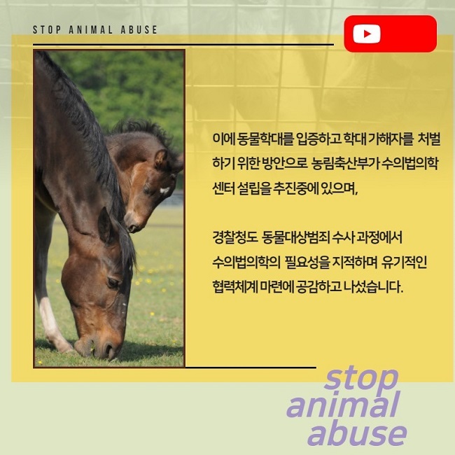 STOP ANIMAL ABUSE
이에 동물학대를 입증하고 학대 가해자를 처벌하기 위한 방안으로 농림축산부가 수의법의학센터 설립을 추진중에 있으며,
경찰청도 동물대상범죄 수사 과정에서 수의법의학의 필요성을 지적하며 유기적인 협력체계 마련에 공감하고 나섰습니다.
stop animal abuse