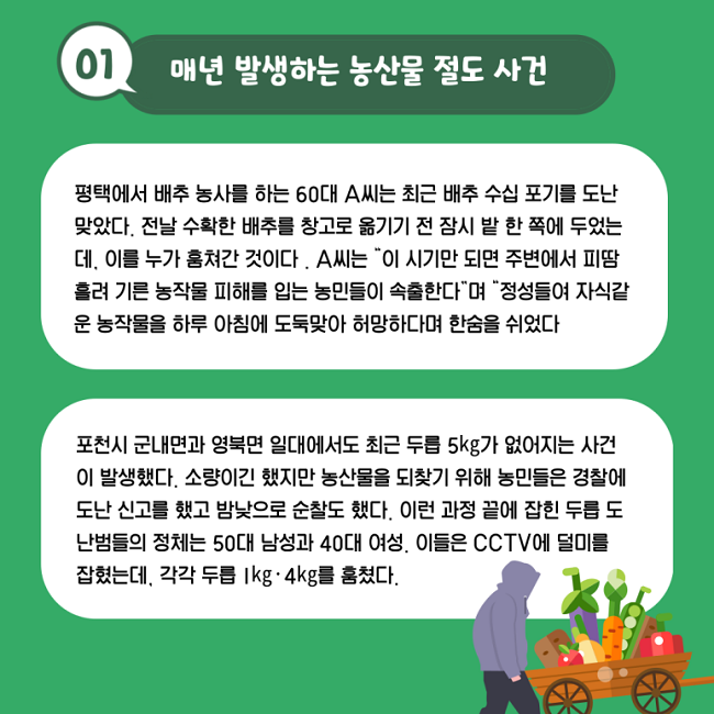 01 매년 발생하는 농산물 절도 사건
평택에서 배추 농사를 하는 60대 A씨는 최근 배추 수십 포기를 도난 맞았다.
전날 수확한 배추를 창고로 옮기기 전 잠시 밭 한 쪽에 두었는데, 이를 누가 훔쳐간 것이다.
A씨는 " 이 시기만 되면 주변에서 피땀 흘려 기른 농작물 피해를 입는 농민들이 속출한다"며
"정성들여 자식같운 농작물을 하루 아침에 도둑맞아 허망하다며 한숨을 쉬었다

포천시 군내면과 영북면 일대에서도 최근 두릅 5kg가 없어지는 사건이 발생했다.
소량이긴 했지만 농산물을 되찾기 위해 농민들은 경찰에 도난 신고를 했고 밤낮으로 순찰도 했다.
이런 과정 끝에 잡힌 두릅 도난범들의 정체는 50대 남성과 40대 여성.
이들은 CCTV에 덜미를 잡혔는데, 각각 두릅 1kg·4kg를 훔쳤다.