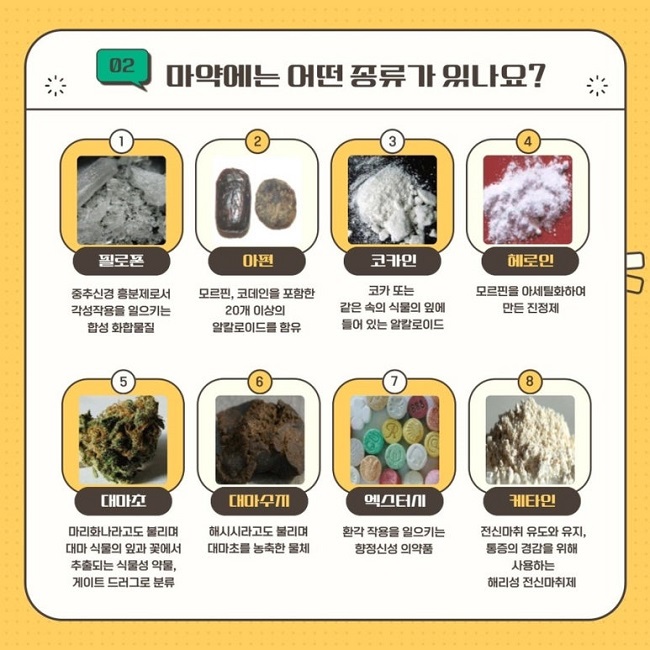 02 마약에는 어떤 종류가 있나요?
1 필로폰
중추신경 흥분제로서 각성작용을 일으키는 합성 화합물질
2 아편
모르핀, 코데인을 포함한 20개 이상의 알칼로이드를 함유
3 코카인
코카 또는 같은 속의 식물의 잎에 들어 있는 알칼로이드
4 헤로인
모르핀을 아세틸화하여 만든 진정제
5 대마초
마리화나라고도 불리며 대마 식물의 잎과 꽃에서 추출되는 식물성 약물, 게이트 드러그로 분류
6 대마수지
해시시라고도 불리며 대마초를 농축한 물체
7 엑스터시
환각 작용을 일으키는 향정신성 의약품
8 케타인
전신마취 유도와 유지, 통증의 경감을 위해 사용하는 해리성 전신마취제